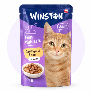 پوچ وینستون مدل Feine Mahlzeit با طعم مرغ و جگر در ژله مخصوص گربه بالغ ۱۰۰ گرم