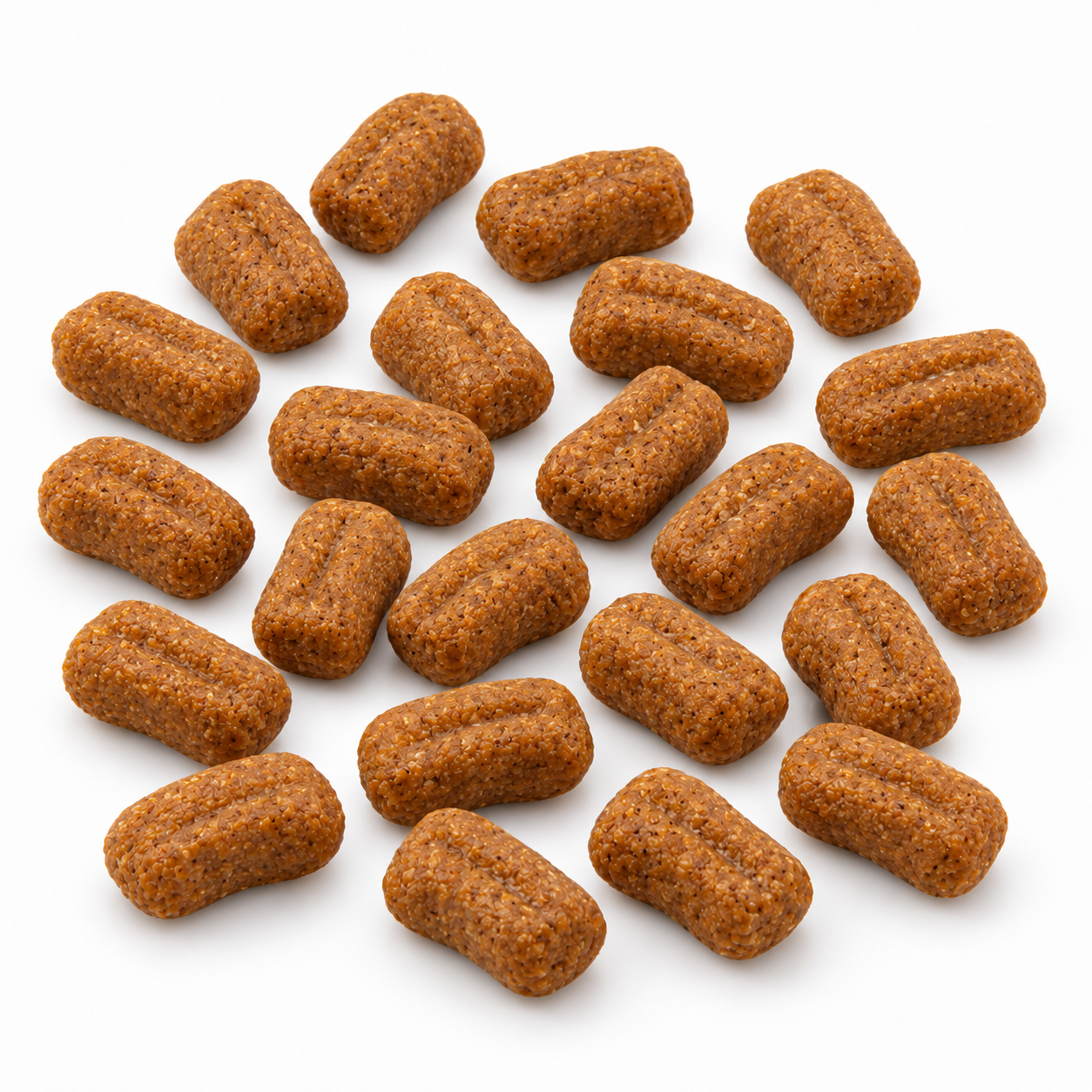 دانههای مستطیلی و شیاردار مخصوص فک سگ پودل نمای نزدیک دانههای غذای خشک رویال کنین Poodle Adult مخصوص سگ بالغ نژاد پودل